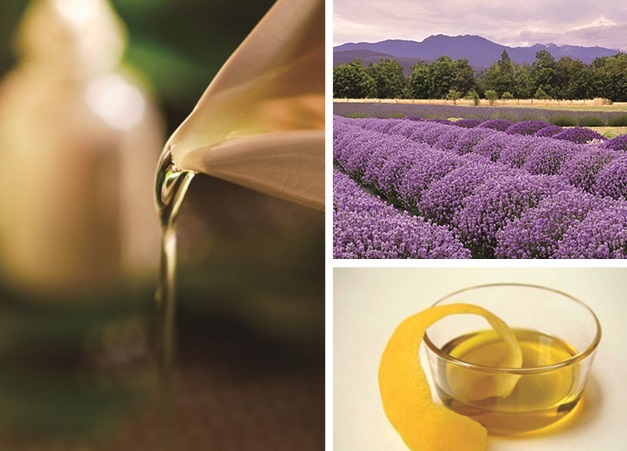 ホテル椿山荘東京のプレスリリース画像3