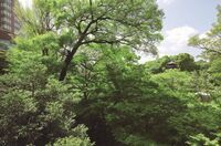 ホテル椿山荘東京のプレスリリース画像2