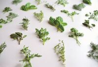 ホテル椿山荘東京のプレスリリース