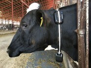 株式会社ファームノートホールディングスのプレスリリース