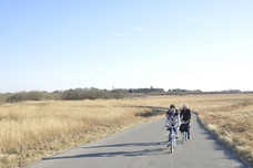 辰巳出版株式会社のプレスリリース画像3