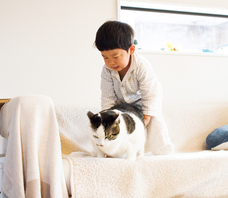 辰巳出版株式会社のプレスリリース画像6