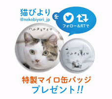 辰巳出版株式会社のプレスリリース画像10