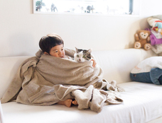 辰巳出版株式会社のプレスリリース画像7