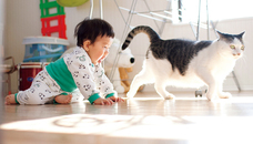 辰巳出版株式会社のプレスリリース画像4