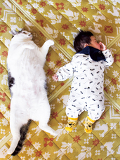 辰巳出版株式会社のプレスリリース画像2