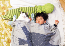 辰巳出版株式会社のプレスリリース画像5