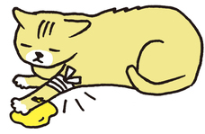 辰巳出版株式会社のプレスリリース画像2