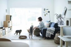 辰巳出版株式会社のプレスリリース画像2