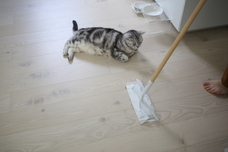 辰巳出版株式会社のプレスリリース画像8