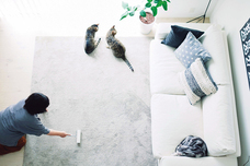 辰巳出版株式会社のプレスリリース画像6