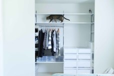 辰巳出版株式会社のプレスリリース画像3