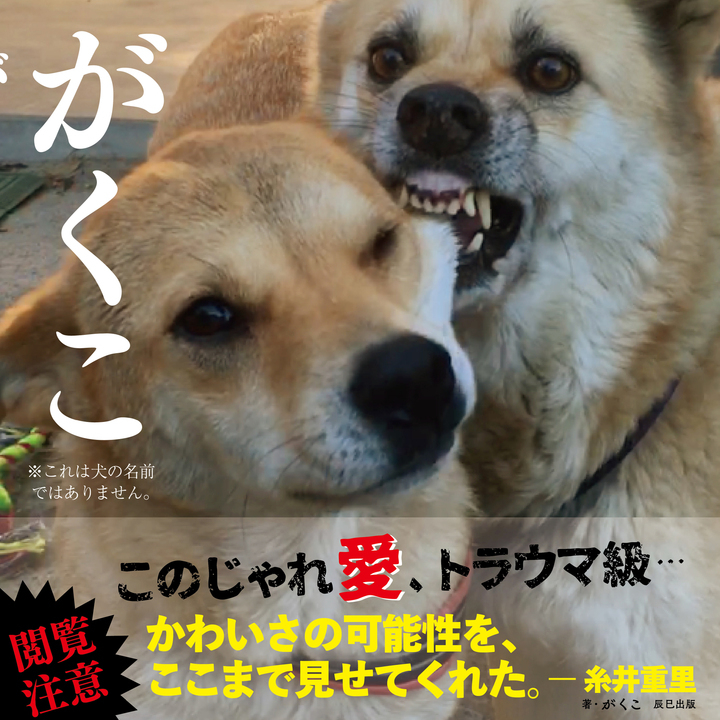 爆笑必至 Twitterで超話題の犬たちが写真集に 辰巳出版より犬写真集 がくこ が発売 辰巳出版株式会社のプレスリリース
