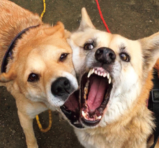 辰巳出版株式会社のプレスリリース画像3