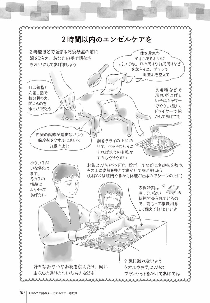 いつか は 必ず 来る だからこそ読んでほしい まんがで読む はじめての猫のターミナルケア 看取り が5月13日 月 発売 辰巳出版株式会社のプレスリリース いつか は 必ず 来る だからこそ読んでほしい まんがで読む はじめての猫のターミナルケア 看取り が5月13日 月 発売 辰巳出版株式会社のプレスリリース