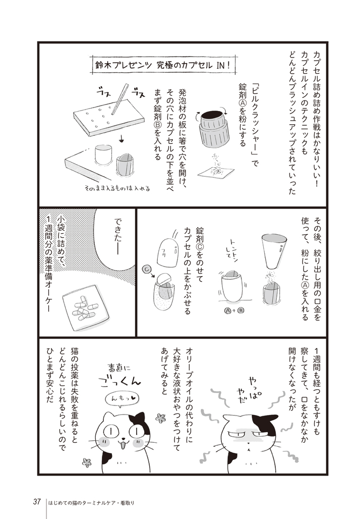 いつか は 必ず 来る だからこそ読んでほしい まんがで読む はじめての猫のターミナルケア 看取り が5月13日 月 発売 辰巳出版株式会社のプレスリリース いつか は 必ず 来る だからこそ読んでほしい まんがで読む はじめての猫のターミナルケア 看取り が5月13日 月 発売 辰巳出版株式会社のプレスリリース