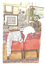 辰巳出版株式会社のプレスリリース画像2