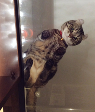 辰巳出版株式会社のプレスリリース画像7