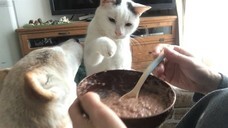 辰巳出版株式会社のプレスリリース画像3