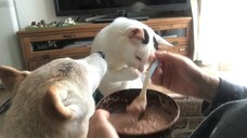 辰巳出版株式会社のプレスリリース画像4