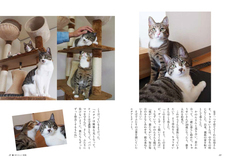 辰巳出版株式会社のプレスリリース画像5