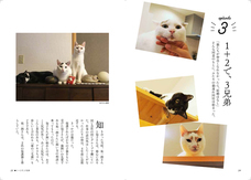 辰巳出版株式会社のプレスリリース画像2