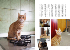 辰巳出版株式会社のプレスリリース画像3