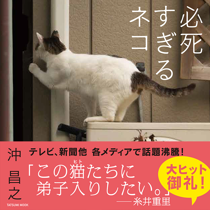 大ヒット御礼 沖昌之写真集 必死すぎるネコ が5万部を突破 辰巳出版株式会社のプレスリリース 大ヒット御礼 沖昌之写真集 必死すぎるネコ が5万部を突破 辰巳出版株式会社のプレスリリース