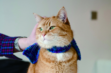 辰巳出版株式会社のプレスリリース画像2