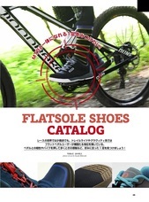 辰巳出版株式会社のプレスリリース画像4