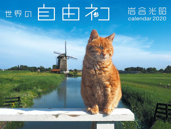 岩合さんが世界中を巡って撮った 猫カレンダー 世界の自由ネコ が9月2日発売 辰巳出版株式会社のプレスリリース