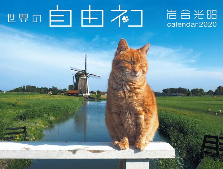 岩合さんが世界中を巡って撮った 猫カレンダー 世界の自由ネコ が9月2日発売 辰巳出版株式会社のプレスリリース 岩合さんが世界中を巡って撮った 猫カレンダー 世界の自由ネコ が9月2日発売 辰巳出版株式会社のプレスリリース