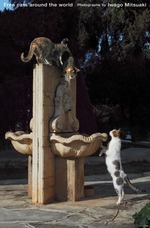 辰巳出版株式会社のプレスリリース画像6