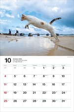 辰巳出版株式会社のプレスリリース画像4