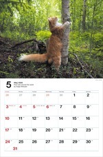 辰巳出版株式会社のプレスリリース画像3