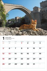 辰巳出版株式会社のプレスリリース画像2