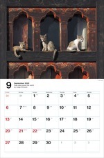 辰巳出版株式会社のプレスリリース画像5