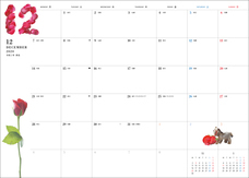 辰巳出版株式会社のプレスリリース画像4