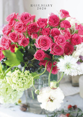 辰巳出版株式会社のプレスリリース画像2