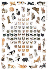 辰巳出版株式会社のプレスリリース画像9