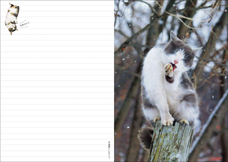 辰巳出版株式会社のプレスリリース画像6