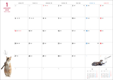 辰巳出版株式会社のプレスリリース画像3