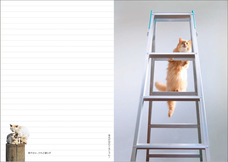 辰巳出版株式会社のプレスリリース画像5