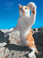 辰巳出版株式会社のプレスリリース画像1