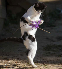 辰巳出版株式会社のプレスリリース画像5