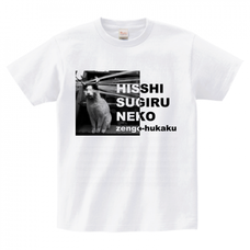 辰巳出版株式会社のプレスリリース画像2