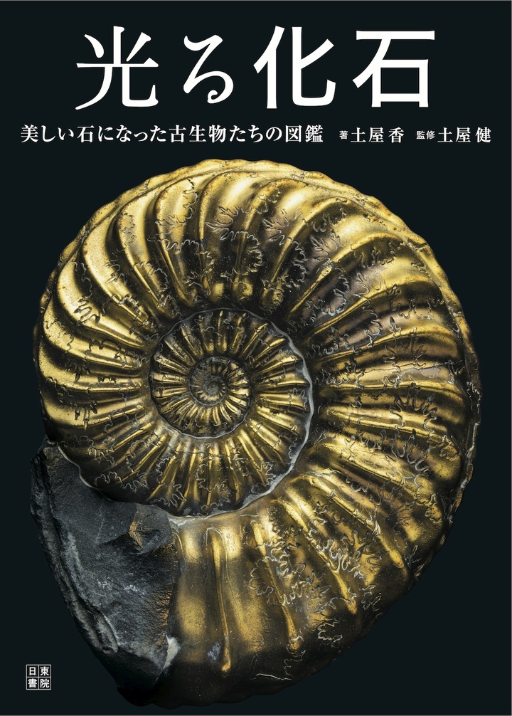光る化石』発売【これまでにない美しい化石の本】 - 辰巳出版株式会社