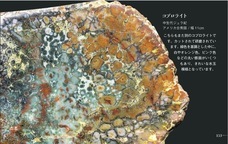 辰巳出版株式会社のプレスリリース画像7