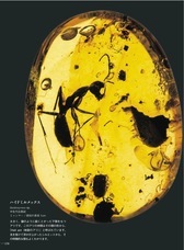 辰巳出版株式会社のプレスリリース画像6