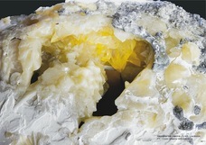 辰巳出版株式会社のプレスリリース画像3